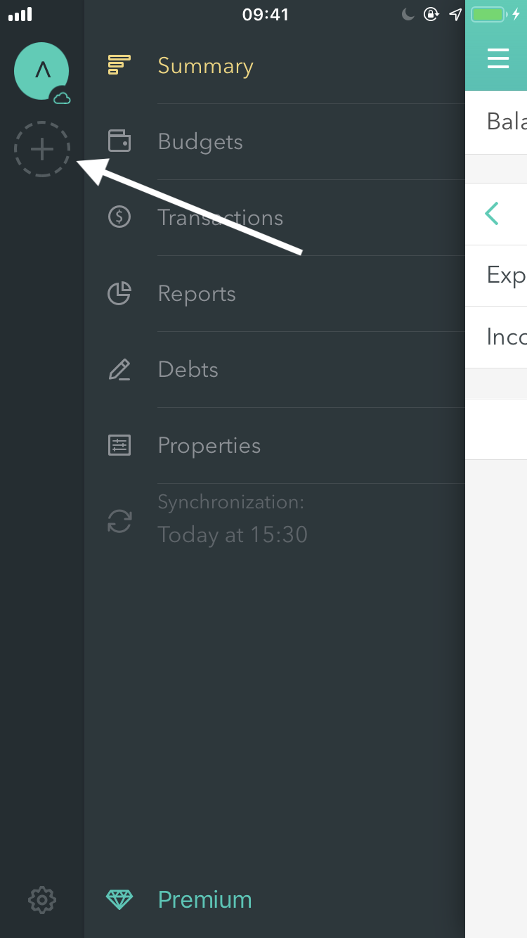 iPhone: menu, the «+» button for a new wallet on the left